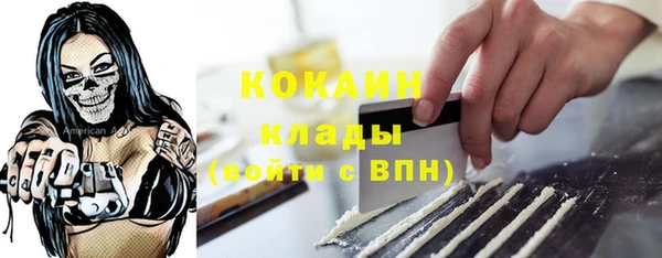 прущие грибы Балахна