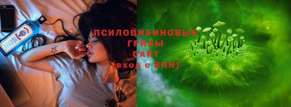 PSILOCYBIN Балабаново