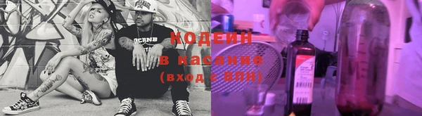 прущие грибы Балахна