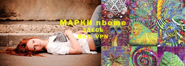 прущие грибы Балахна