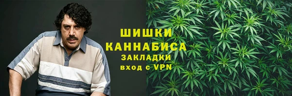PSILOCYBIN Балабаново
