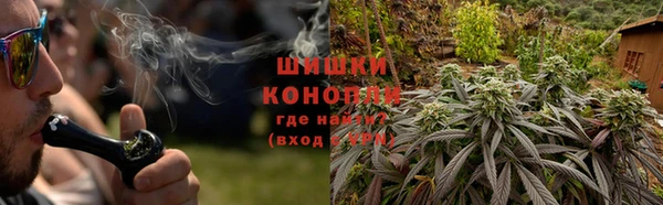 PSILOCYBIN Балабаново