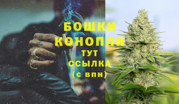 PSILOCYBIN Балабаново